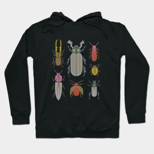 Beetle Specimens Hoodie